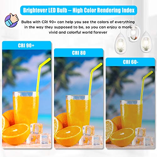 LED Light Bulbs 100W Equivalent 1500 Lumens, A19 13W 5000K Daylight White Non-Dimmable, Super Bright No Flicker Standard E...