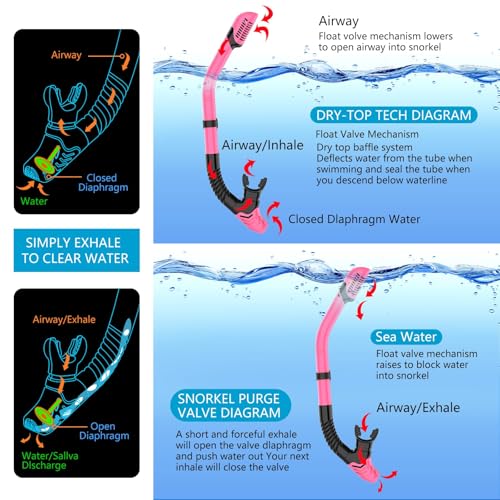 Snorkeling Gear for Adults, Dry-Top Snorkel Set Scuba Diving mask, 180°Panoramic Wide View Professional Snorkeling Gear Br...