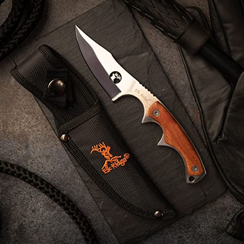Elk Ridge - Outdoors Fixed Blade Knife - 6.75-in Overall, Mirror Finished Stainless Steel Blade, Burl Wood Handle - Full T...