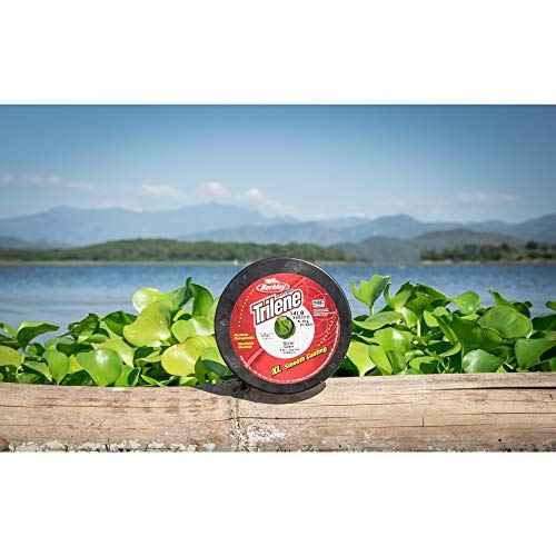 Berkley Trilene¢ç XL¢ç, Low-Vis Green, 20lb | 9kg, 3000yd | 2743m Monofilament Fishing Line, Suitable for Freshwater Environments
