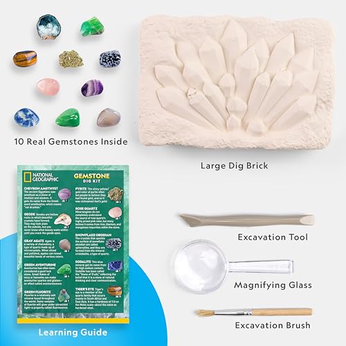 National Geographic Gemstone Dig Kit – Dig Up 10 Real Gemstones and Crystals, Science Kit for Kids, Gem Digging Kit, Gift ...