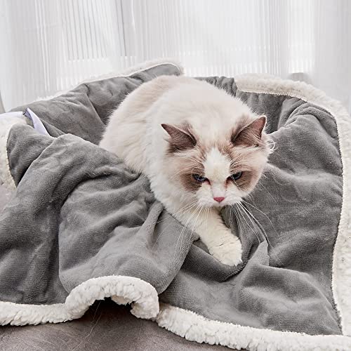 Qeils Pet Blankets for Cats - Waterproof Cat Blanket Washable - Sherpa Fleece Puppy Blanket, Soft Plush Reversible Throw P...
