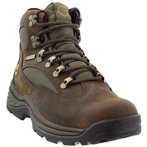 Timberland Women's Chocorua Trail Boot