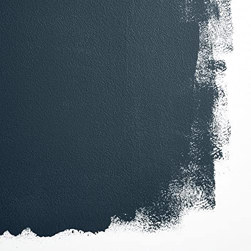 BACKDROP | Premium Interior Paint | Standard Semi Matte, Low Sheen Finish | Self-Priming, Low VOC, Green Wise Certified | ...