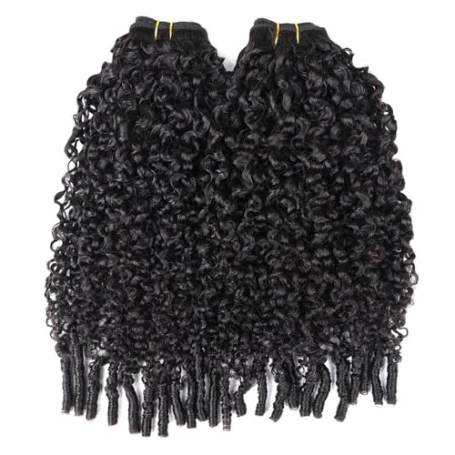 Burmese Curly Clip in Hair Extensions Human Hair 3C4A Lace Clip in Human Hair Extensions 2 Pack 240g 14pcs Spirally Curly Classic Clips Ins Real Human Hair Extension Full Head For Black Women 12 Inch