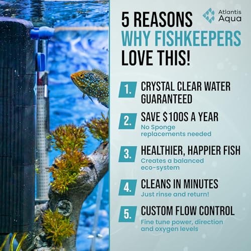 20 Gallon Fish Tank Filter up to 55 Gallons | Quiet Fish Tank Filter | Crystal Clear Water | Turtle Tank Filter | Submersi...
