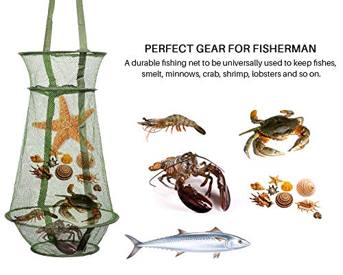 Collapsible Fish Basket Mesh Fish Trap Portable Fish Cage Foldable Fishing Keep Net for Keeping Fish Alive, Bait Storage C...
