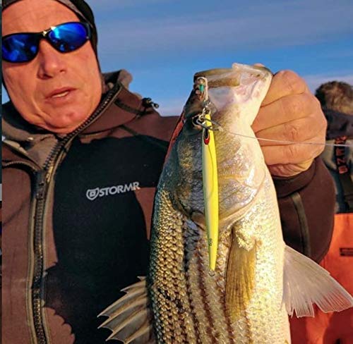 Nomad Design Deep Water Fishing - Erratic Action Trigger for Predators, Fast Sinking & BKK Jig Assist Hooks The Streaker