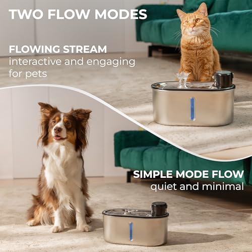 Lippup Replacement Filters for Stainless Steel Cat Water Fountain – 4 Months Set of Activated Carbon & Ion Exchange Resin ...