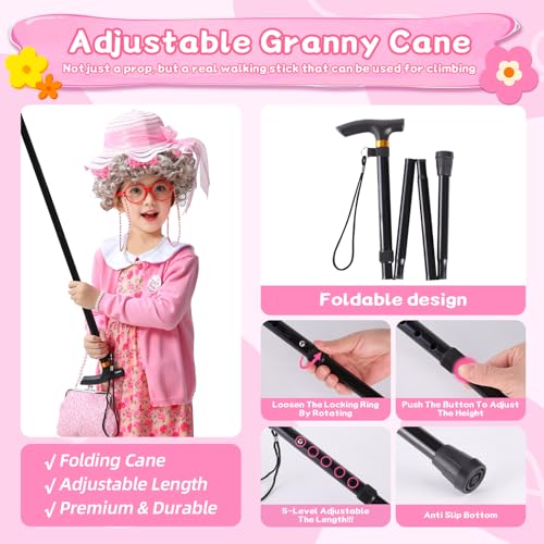 ZelJoyla Old Lady Costume for Kids 100 Days of School Costume for Girls 13 pcs 100th Day of School Granny Old Lady Dress Up