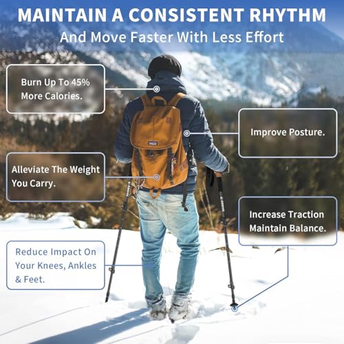 Hiking Poles: Ultra-Light Aluminum-Carbon Foldable, 3-Section Telescopic. for Hiking/Trekking/Nordic Walking. 45-53 inches...