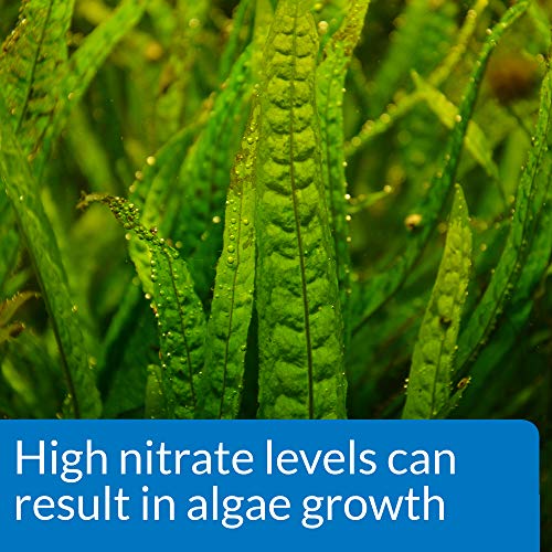 API NITRATE 90-Test Freshwater and Saltwater Aquarium Water Test Kit