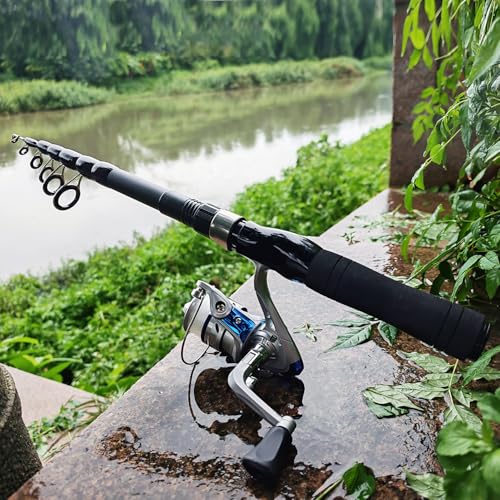 Fishing Rod and Reel Combos, 2PC Telescopic Fishing Pole Spinning Reels Sets, Collapsible Fishing Rod Full Kit with with F...