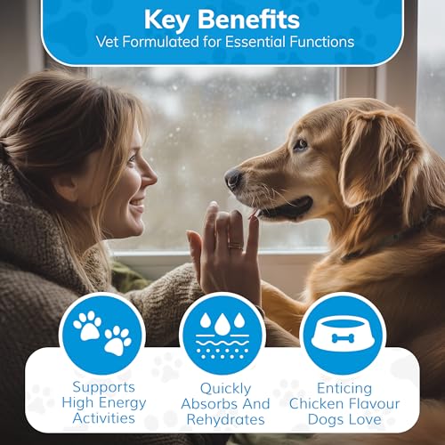 Replenish Dog Recovery Water Supplement – Pedialyte for Dogs Hydration Drink & Water Additive - Electrolytes for Dogs Hydr...