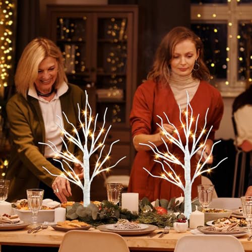 PEIDUO Christmas Decorations Indoor, 2 FT Birch Tree with LED Lights, Fairy Light Spirit Tree for Christmas Decor, Warm Wh...