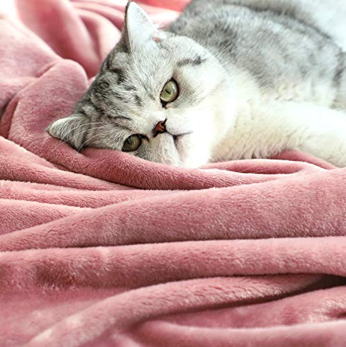 TASTHROW Large Flannel Fleece Throw Blanket, 50×70 Inch - Cozy Lightweight Thick Blanket - All Seasons Suitable for Women,...