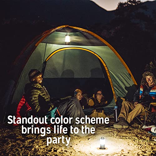 Kelty Tallboy Family Car Camping Tent, 4 or 6 Person Freestanding Shelter, Large Capacity, Stuff Sack Included. 2022
