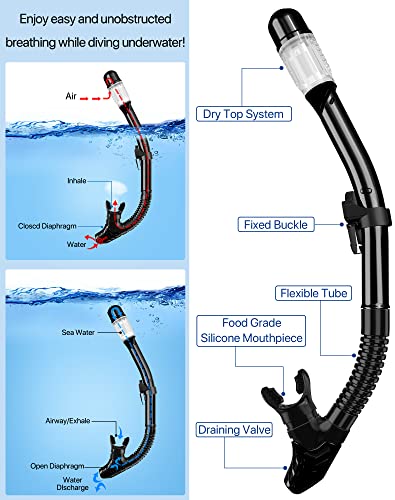 Ubekezele Snorkeling Gear for Adults Men Women,4 in 1 Snorkel Set with Panoramic View Diving Mask Anti-Fog Anti-Leak,Dry T...