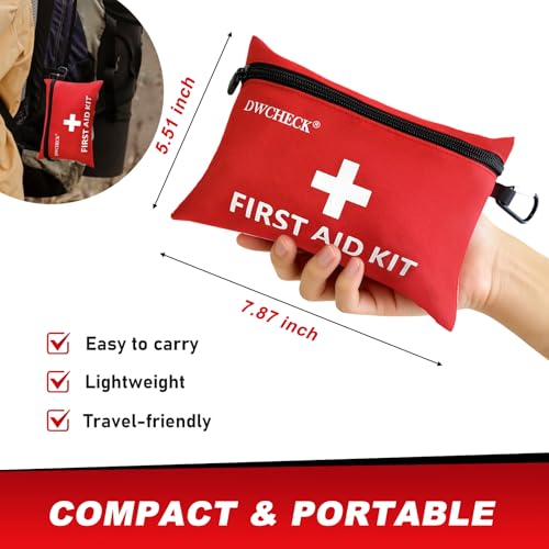 DWCHECK Mini First Aid Kit,132 Piece Small Waterproof Emergency Medical Kit for Travel, Car, Home, Office, Camping, Hiking...