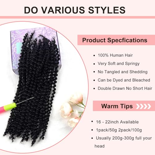 22 Inch Afro Kinkys Bulk Human Hair for Dreadlocks Extensions 2 Bundles 100g Afro Kinky-curly Human Braiding Hair Bundles for Mini Twist