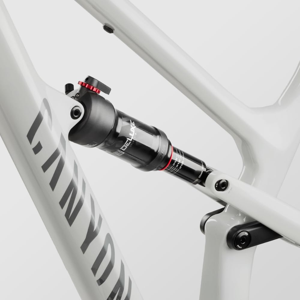 Canyon Spectral 125 CF 7, Funkturm Grey, Medium