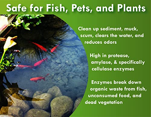 Pond Worx Water Clear - Concentrated Formulation Improves Water Clarity and Quality, Helps Clear Cloudy Water, Safe for Fi...