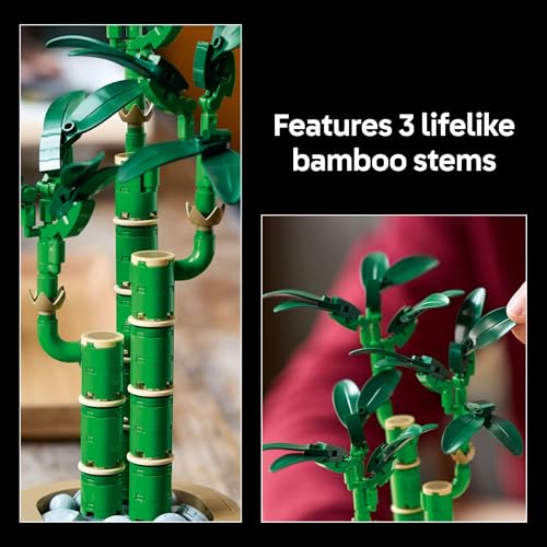 LEGO Botanicals Lucky Bamboo Building Set - Artificial Plant for Indoor Home Décor, Adults Ages 18+ - Gift for Valentines ...