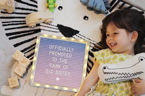 Letter Board THE ORIGINAL Gradient Felt Board with Stand, Built-in LED Lights 10x10 -Menu Board + Wood Frame, 340 Letters,...