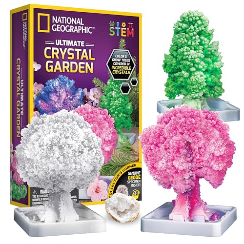 National Geographic Craft Kits for Kids - Crystal Growing Kit - Grow a Crystal Garden in Just 6 Hours, Educational Craft I...