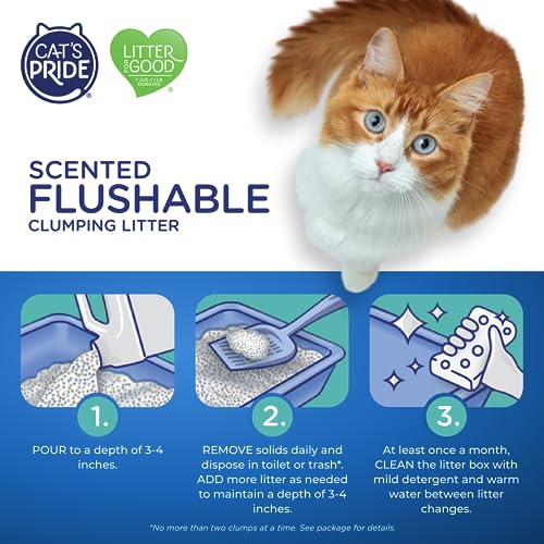 Cat's Pride Lightweight Clumping Litter: Flushable - Powerful Odor Control - Scented, 10 Pounds