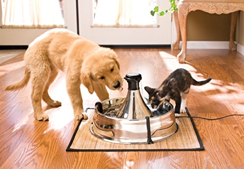PetSafe Drinkwell Stainless Steel 360 Multiple Pet Fountain - Scratch and Rust Resistant Automatic Water Dispenser for Cat...