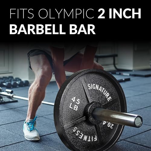 Fitvids Deep Dish 2-Inch Olympic Cast Iron Weight Plates with E-Coating