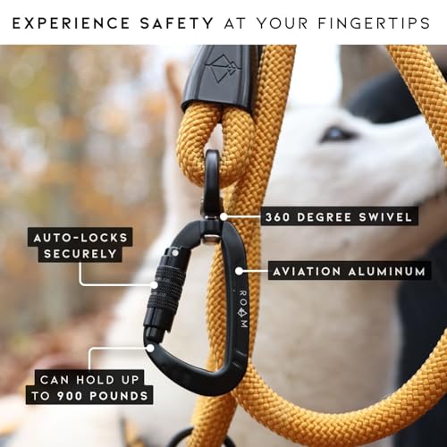 MADE TO ROAM Premium Explorer Leash - Climbing Rope Leash with Autolocking Aviation Aluminum Carabiner - Maine Marina, 6ft