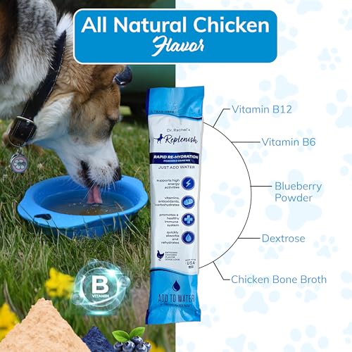 Replenish Dog Recovery Water Supplement – Pedialyte for Dogs Hydration Drink & Water Additive - Electrolytes for Dogs Hydr...