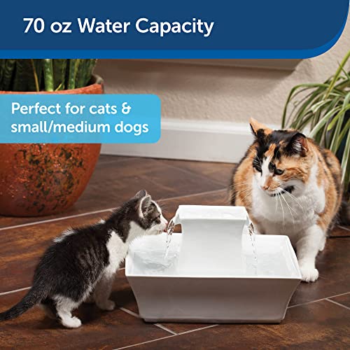 PetSafe Drinkwell Pagoda Fountain - Hygienic Ceramic Continuous Flowing Fountain - Elevated Upper Bowl & Double Free-Falli...