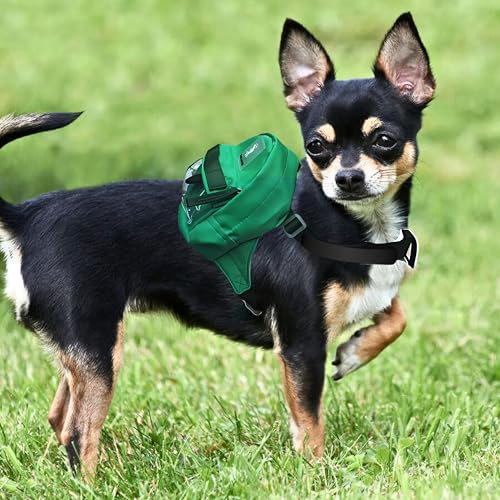 Tailtote Dogs Hiking Backpack Harness Lightweight, Adjustable, and Water-Resistant Pet Poopbag Holder for Outdoor Adventur...