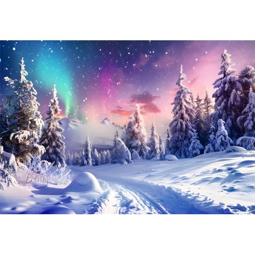 ZJRBJB 10x8ft Winter Wonderland Backdrop Winter Backdrops for Photography Northern Lights Aurora Pine Christmas Xmas Tree ...