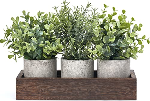 Dahey 3 Pack Mini Potted Artificial Eucalyptus Fake Plants with Wood Tray Centerpiece Table Decorations, Farmhouse Pulp Fl...