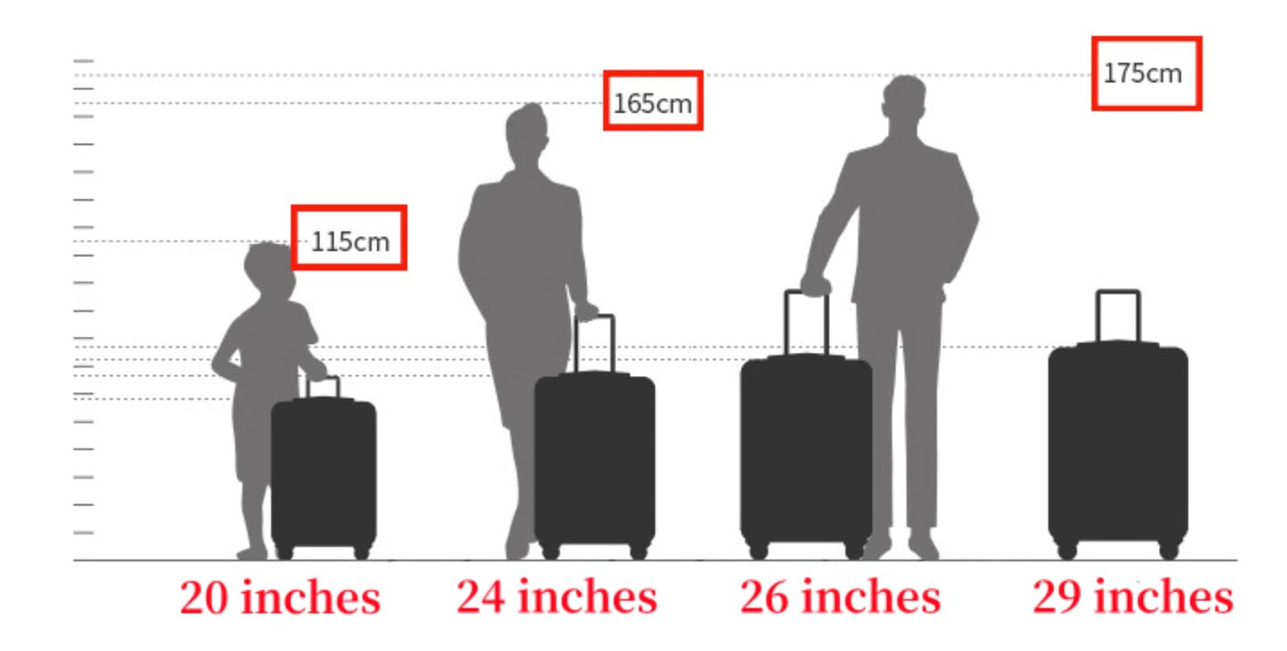 Caibomaoyi Aluminum magnesium alloy travel box trolley box luggage box metal box boarding box password box (silvery, 77.5 ×51.5 ×29cm（31×20×11 inch）)