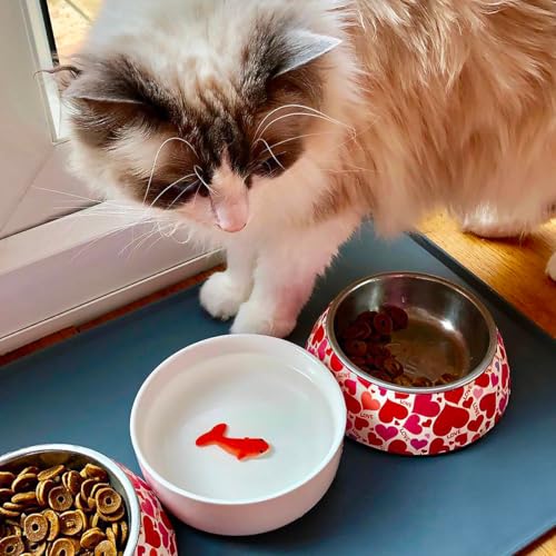 Suck UK Cat Bowls - Fish Bowl - Cat Water Bowl - Funny Animal Accessories - Ceramic Dish - Novelty Pet Supplies - Pets Pra...