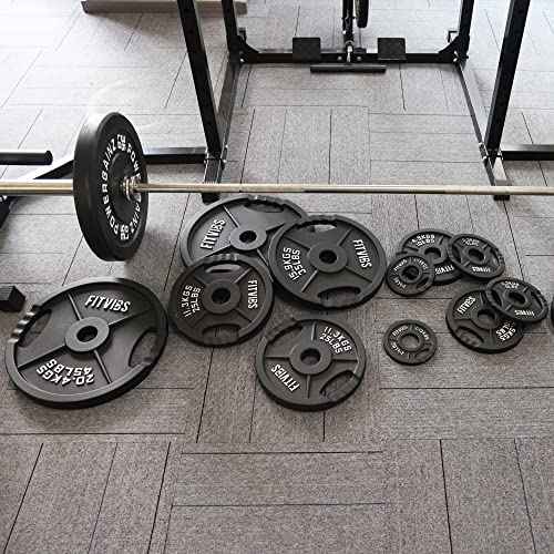 Fitvids Olympic 2-Inch Cast Iron Plate Weight Plate for Strength Training and Weightlifting, Two Hole Style, 25LB Pair