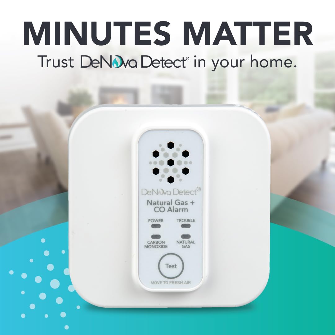 DeNova Detect 10-Year Battery-Operated Natural Gas and Carbon Monoxide Gas Alarm with Voice Alerts in English and Spanish