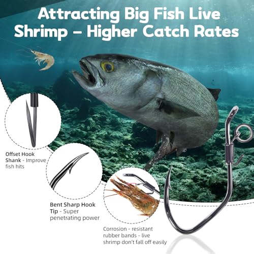 9KM DWLIFE Live Shrimp Hooks 10/15PCS Double Fishing Hooks Shrimp Hooks Fishing Saltwater Keep Alive Bait for Catfish Bass