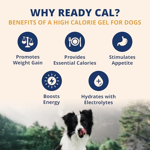 Under the Weather Pet Electrolytes Ready Cal Plus Gel for Dogs | Vet-Formulated High-Calorie Supplement for Dog & Puppy | ...
