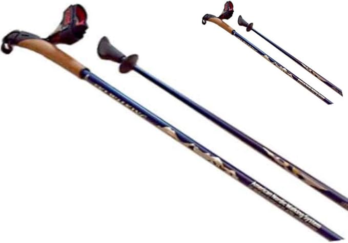SWIX of Norway Carbon Nordic Walking Poles+Cork Grips, 1-Piece Poles in 32 Lengths. Safer, Lighter, Stronger, Than Cheap C...