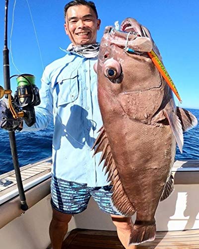 Nomad Design Deep Water Fishing - Erratic Action Trigger for Predators, Fast Sinking & BKK Jig Assist Hooks The Streaker 3...