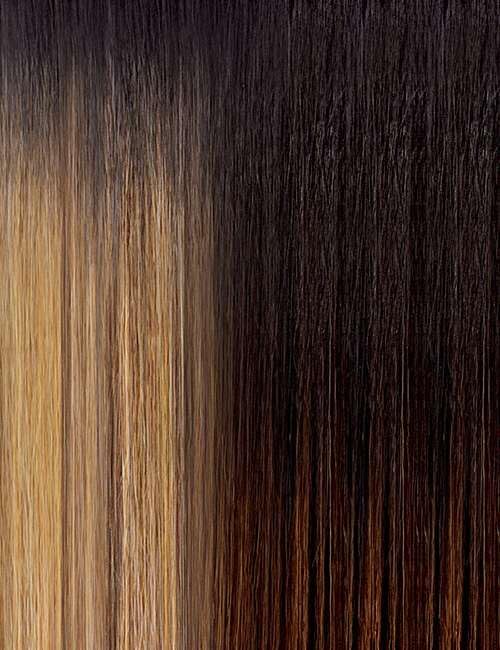 Outre Lace Front Wig - Perfect Hair Line 13X6 - Sierra (DRFF CARAMEL MOCHA)