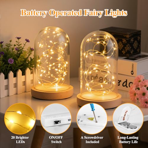 Lakumu 12-Pack Fairy Lights Battery Operated Lights-7FT 20LEDs String Lights, Waterproof Battery Powered Firefly Lights fo...