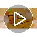 Bokon 100 Pcs 12 oz Rimmed Swirl Clear Plastic Cups with Rim Fancy Disposable Tumblers Cups Plastic Wine Glasses Elegant W...