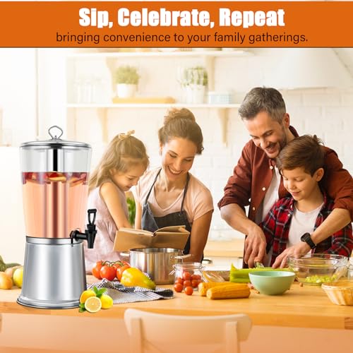 2 Gallons Beverage Dispenser With Stand, Drink Dispensers for Parties, Stainless Steel Juice Dispensers with Ice Tube and ...